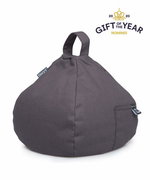 ibeani grey beanbag 2020 gift of the year